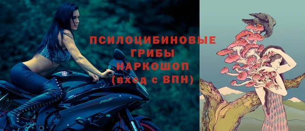 молекула духа Зеленодольск