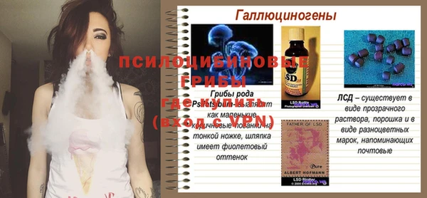 молекула духа Зеленодольск