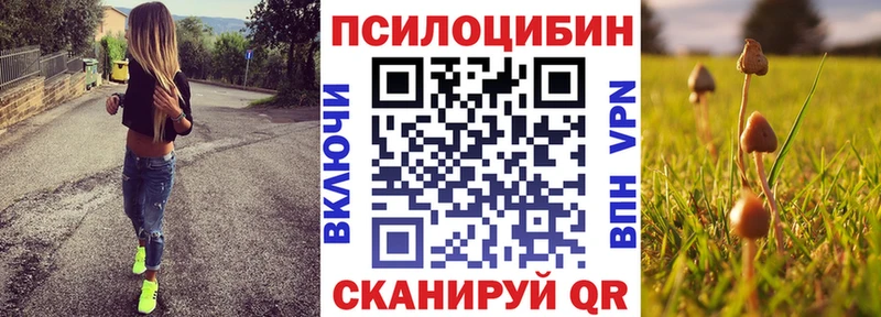 Купить где  Михайлов  Галлюциногенные грибы мухоморы 